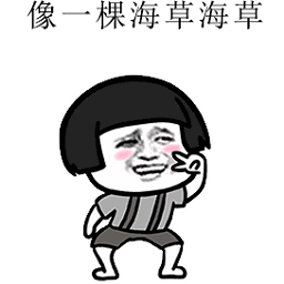 软件图标