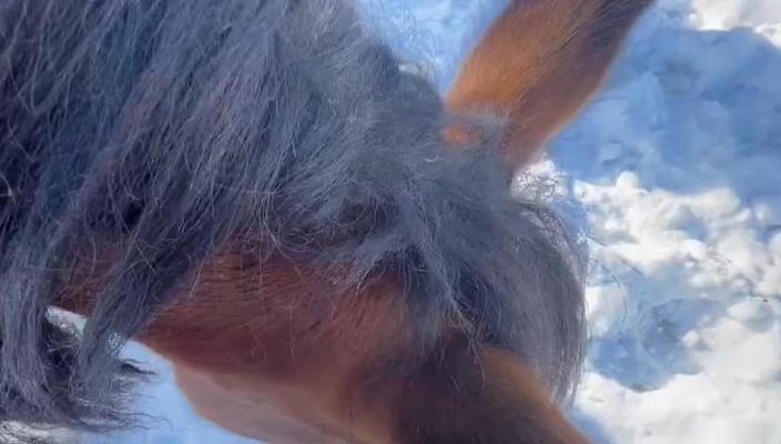 重生细胞挠挠，用处大有可观！