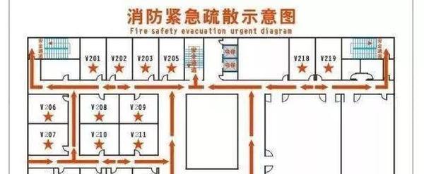 小动物逃生攻略(用心守护,让小动物远离危险)