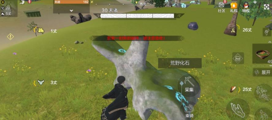 《妄想山海》游戏南斗星宿搭配攻略（如何搭配南斗星宿，让你的游戏更上一层楼？）