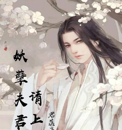 妖孽七夫君攻略指南(解析妖孽七夫君最新攻略技巧,带你玩转古风男神)