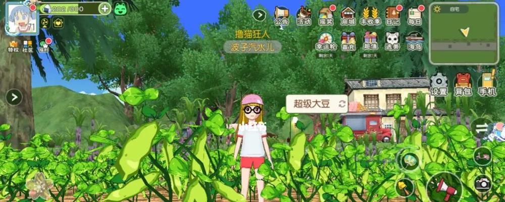 《小森生活》NPC礼物大全——提升好感度的必备攻略