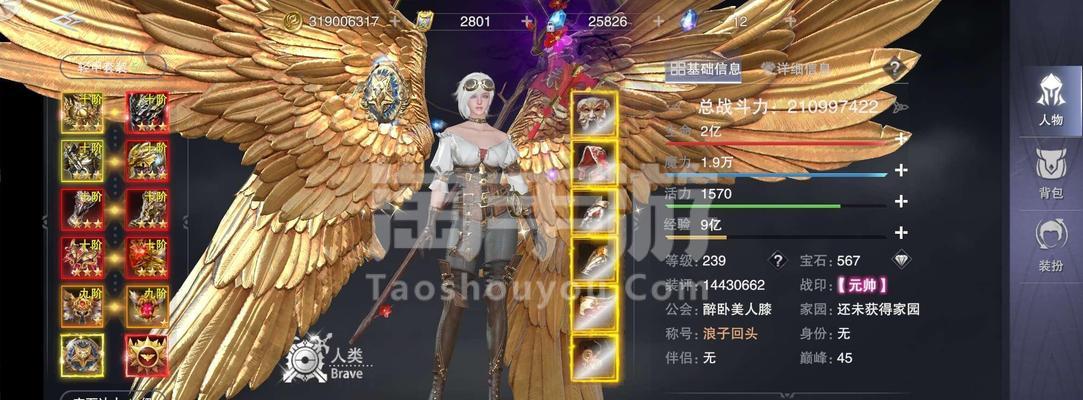 《新神魔大陆》游戏币全服通用赚取攻略（轻松获取游戏币，畅玩新神魔大陆！）