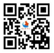 掌上新营口网页版地址是什么 掌上新营口app苹果版有没有