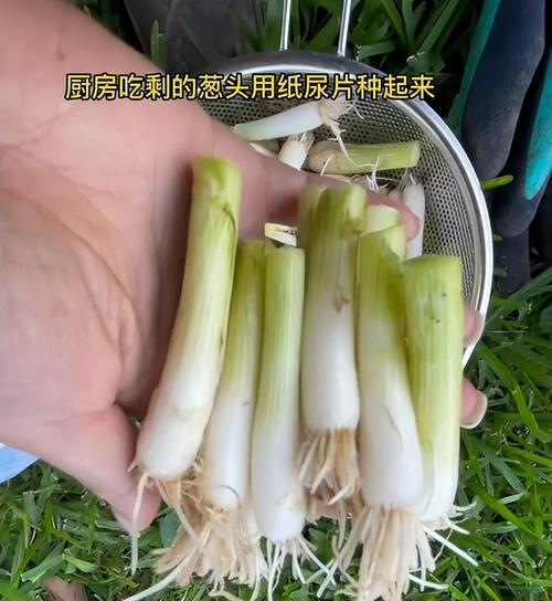 《烟雨江湖幽行步》攻略（解密隐藏任务，打败BOSS成功招募）