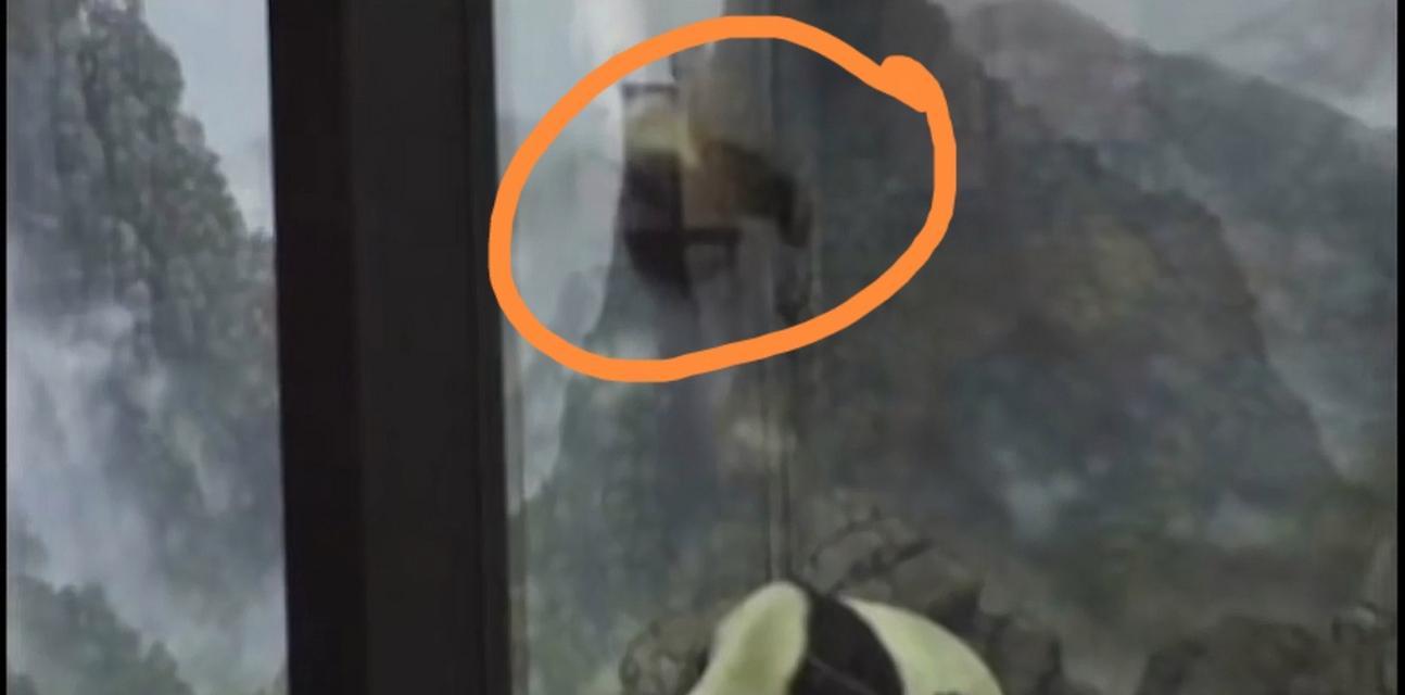 泰山游戏攻略（带你领略大熊猫泰山游戏的无限乐趣）