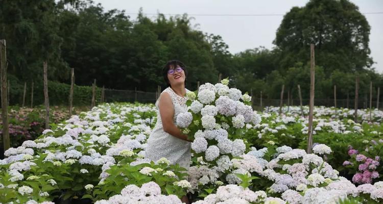 《无尽寒冬》工程兵妮蒂亚强度分析（深入探究游戏角色设计背后的科学原理）