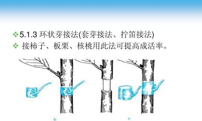 匠心工艺，玩转进阶——以匠木第三章为例的游戏教学（15个段落详解如何在游戏中掌握进阶技巧）